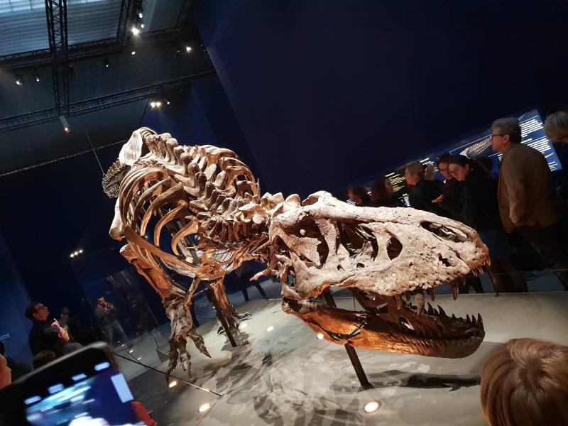 week end a parigi con i bambini tirannosauro