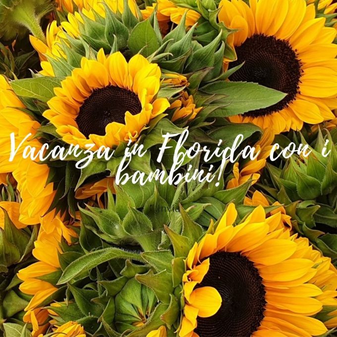 vacanza in florida con i bambini IG