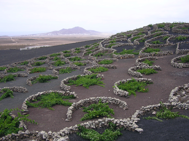 Lanzarote coi bambini los abrigos