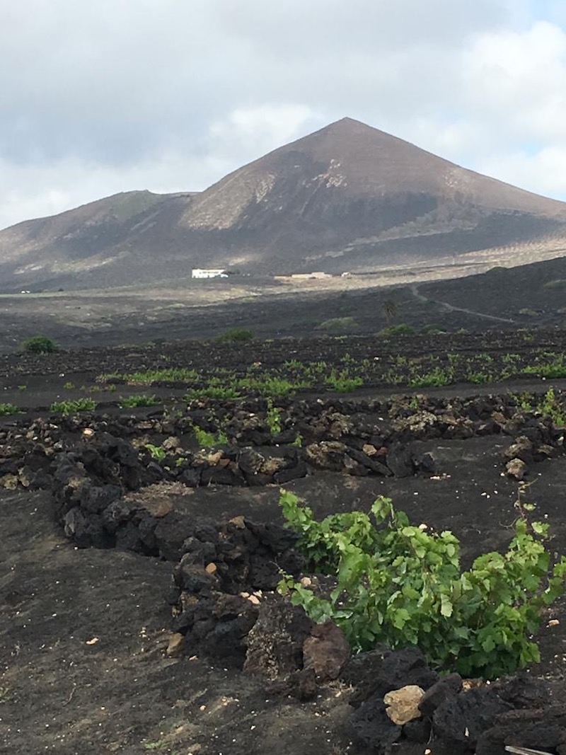 Lanzarote coi bambini abrigos